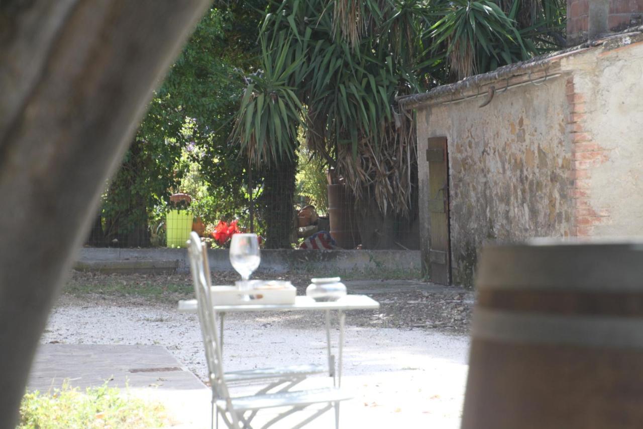 Agriturismo Il Broletto Suvereto Exterior foto